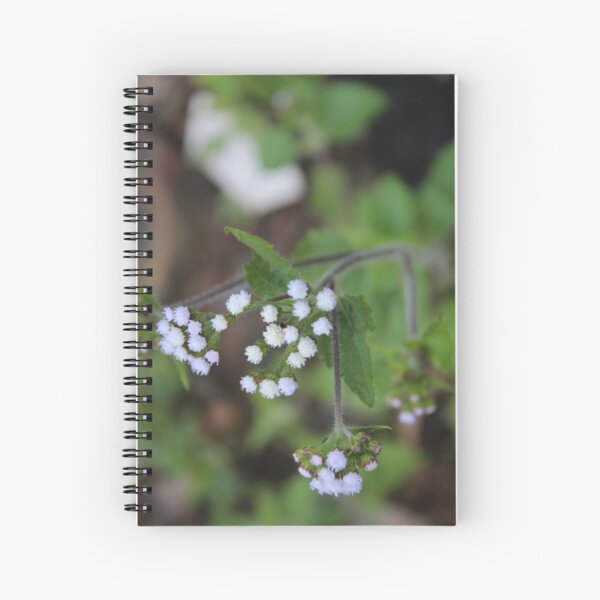 Us Spiral Notebook