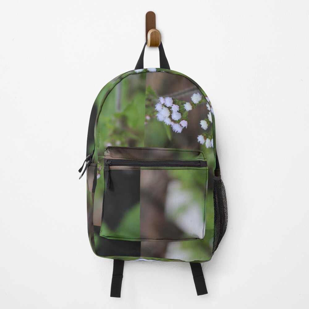 Us Backpack