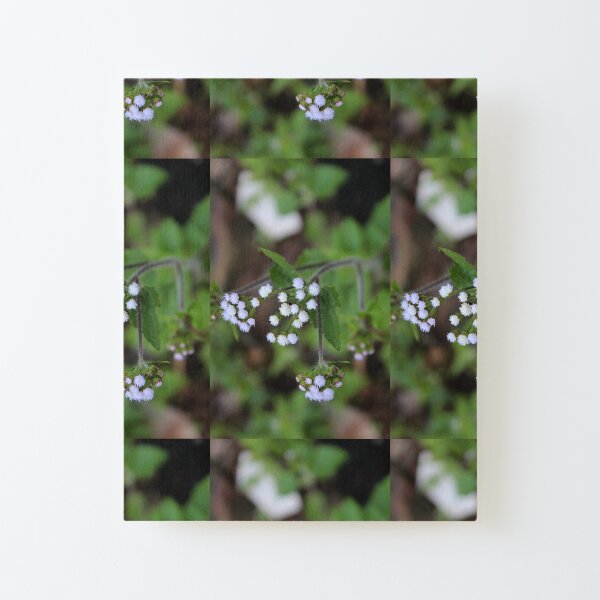 Us Canvas Mounted Print