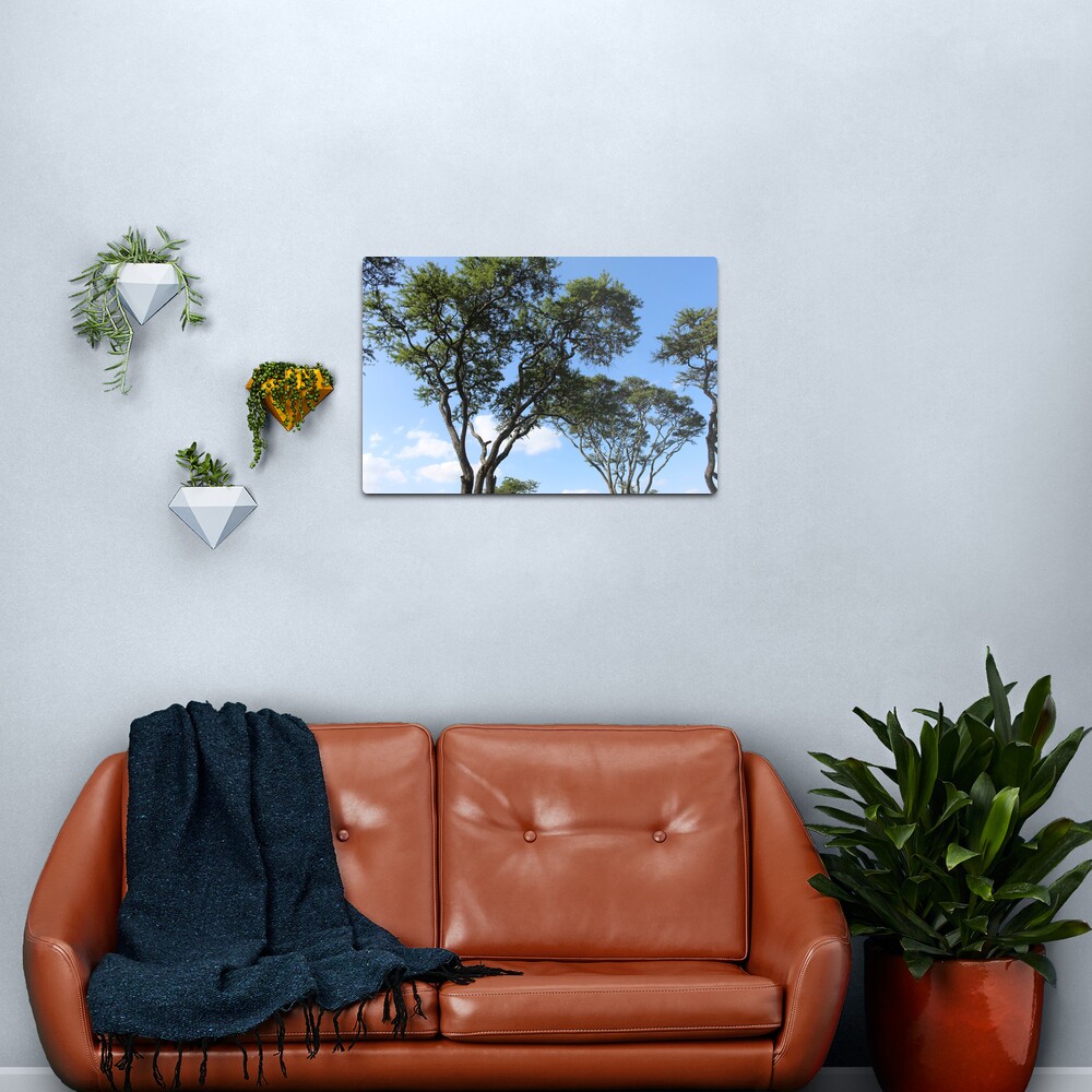 Sky High Metal Print