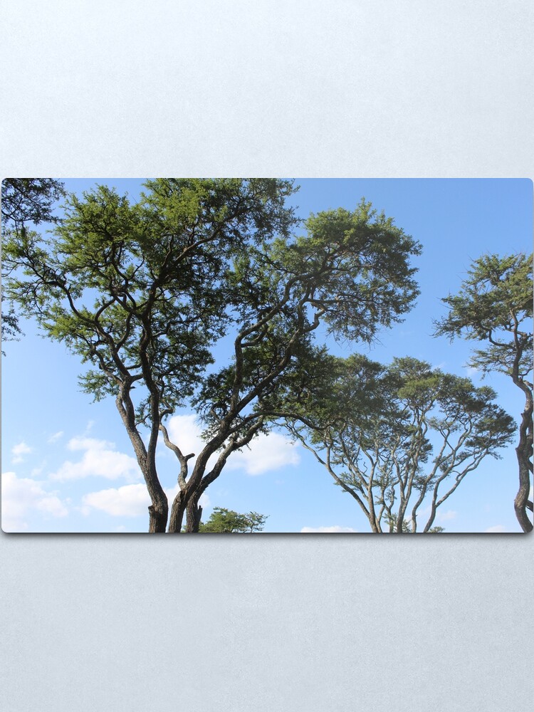 Alternate view of Sky High Metal Print