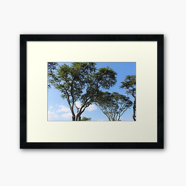 Sky High Framed Art Print