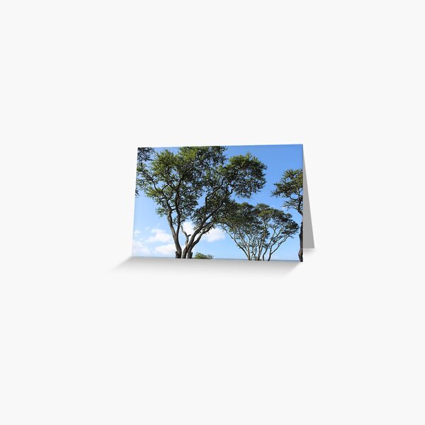 Sky High Greeting Card