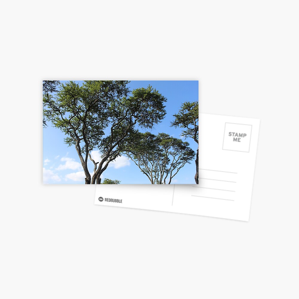 Sky High Postcard