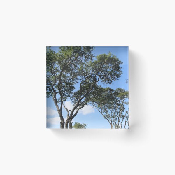 Sky High Acrylic Block