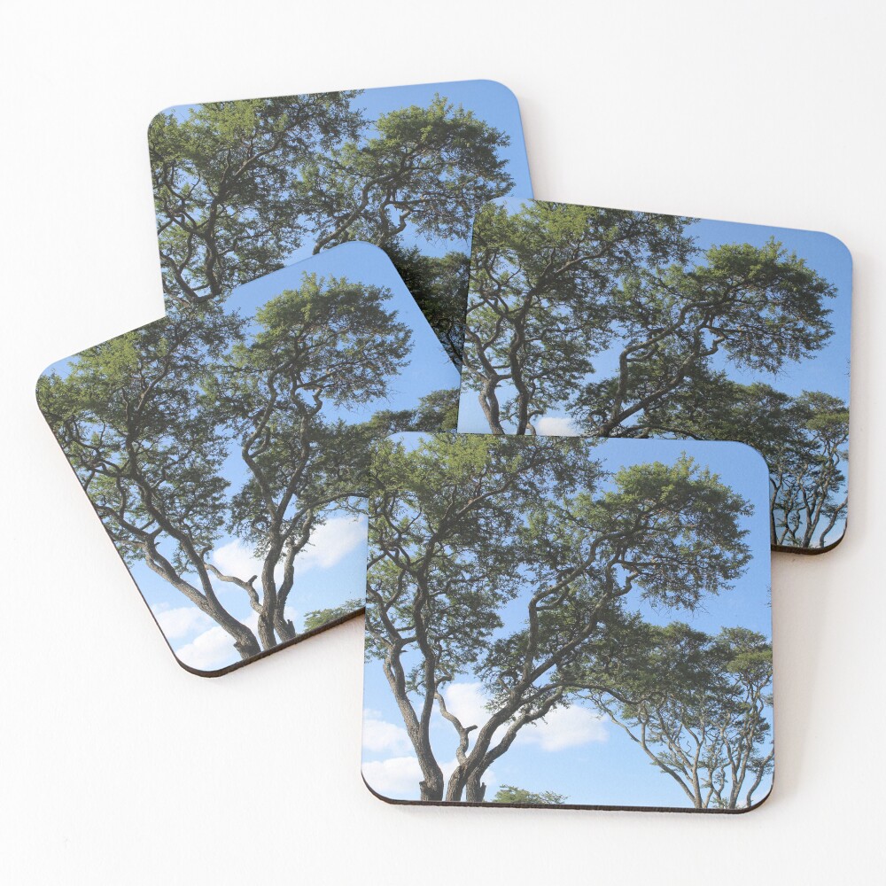 Sky High Coasters (Set of 4)