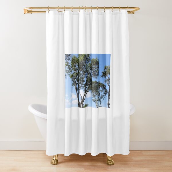 Sky High Shower Curtain
