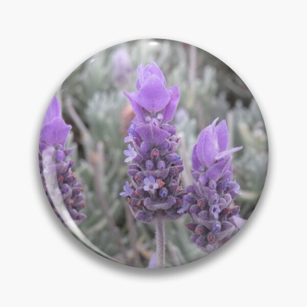 Item preview, French lavender designed and sold by greentiger1.