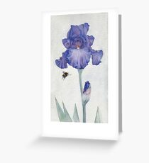 Blue Iris with Bee Greeting Card
