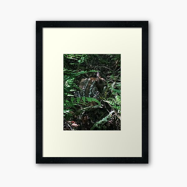 Little dear Framed Art Print