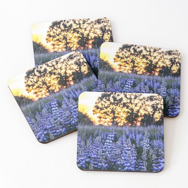 Item preview, Lupines at Sherburn Wildlife Refuge designed and sold by passion4photos.