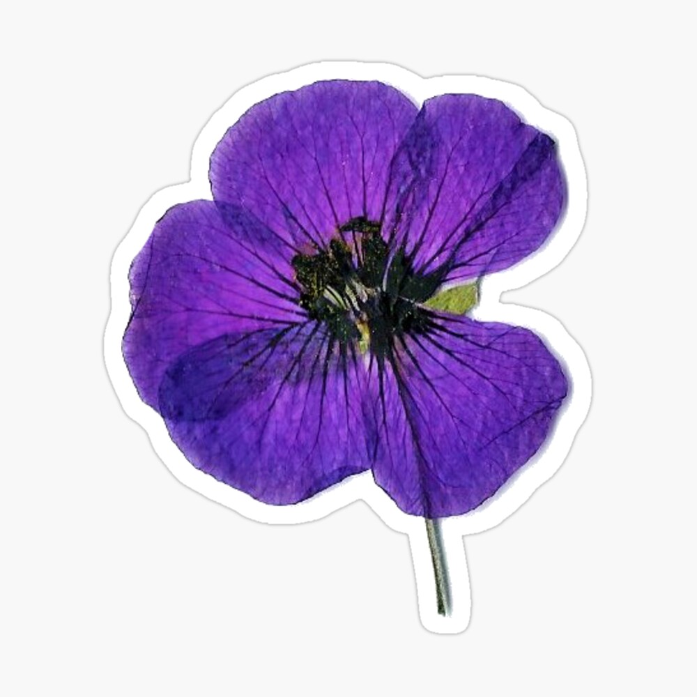 Deep Violet Purple Plum Flower Power Vinyl Sticker, Smiley Flower Stic –  Retrophiliac