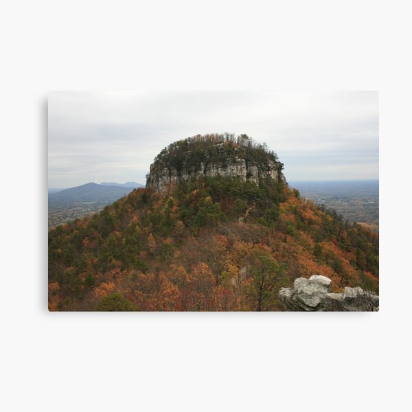 Pilot Mountain Canvas Print