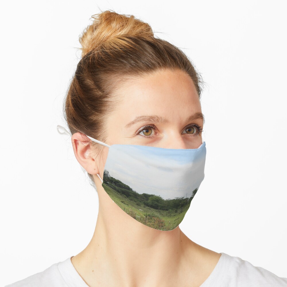 The Taking a Walk Collection Mask