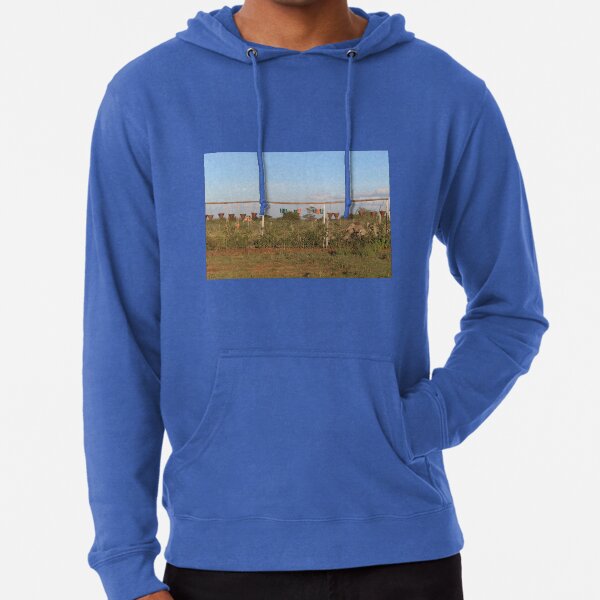 The Vase and Flower Pots Collection Lightweight Hoodie