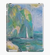 RESTING SPOT(C2016) iPad Case/Skin