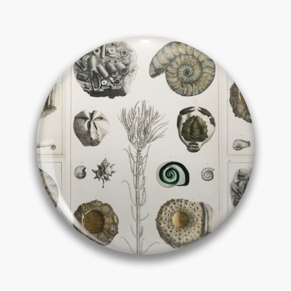 Item preview, Naturalist Fossils designed and sold by BlueSpecsStudio.