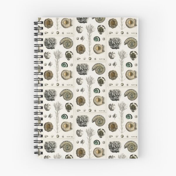 Item preview, Naturalist Fossils designed and sold by BlueSpecsStudio.