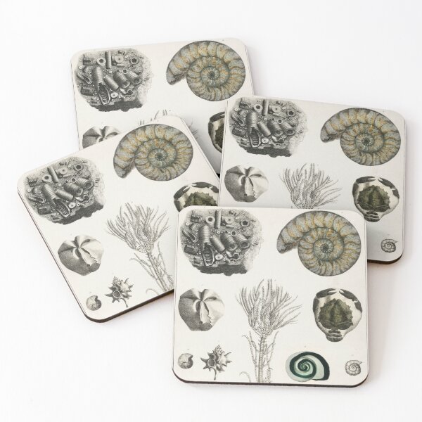 Item preview, Naturalist Fossils designed and sold by BlueSpecsStudio.