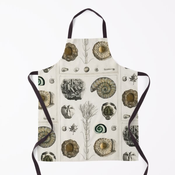 Item preview, Naturalist Fossils designed and sold by BlueSpecsStudio.
