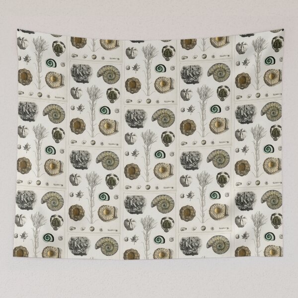 Item preview, Naturalist Fossils designed and sold by BlueSpecsStudio.
