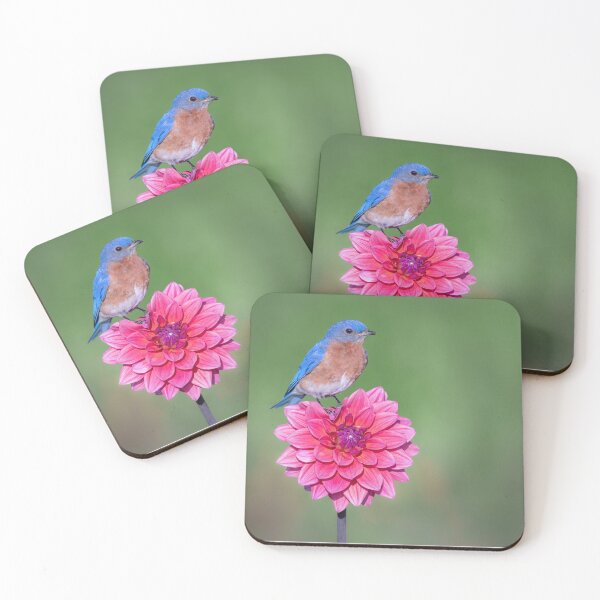 Item preview, Eastern Bluebird on Dahlia designed and sold by (Tallow) Dave  Van de Laar.