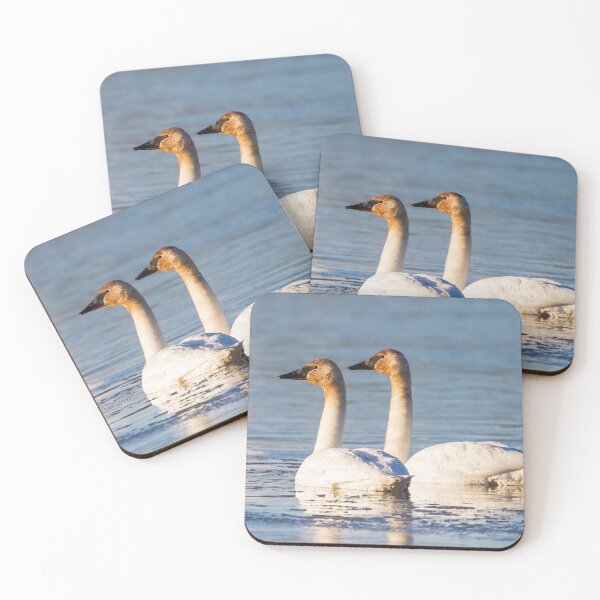 Item preview, Trumpeter Swans designed and sold by Jukka Jantunen.