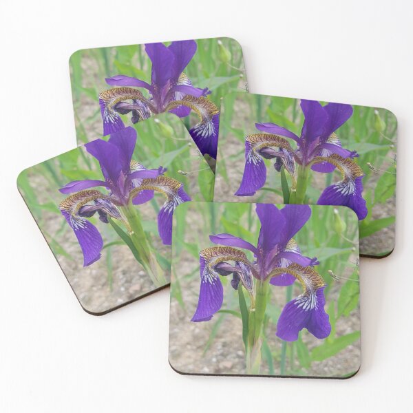 Item preview, Dancing Purple Blondy designed and sold by preethijay.