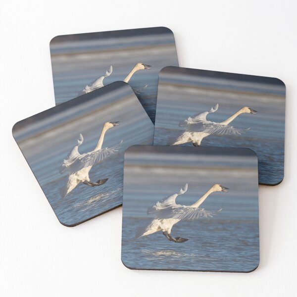 Item preview, Trumpeter Swan designed and sold by Jukka Jantunen.