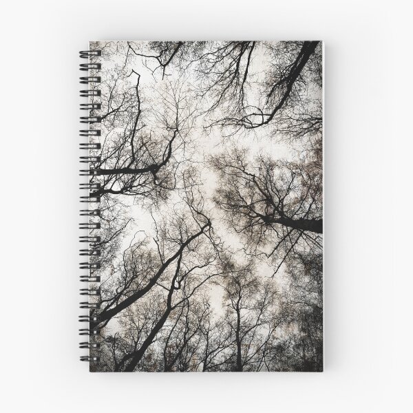 Item preview, a point of view designed and sold by David Tovey.