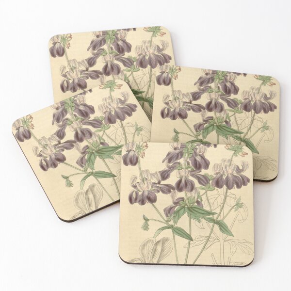 Item preview, Curtis's botanical magazine (Plate 3695) (8387508336) designed and sold by EsotericBotanic.
