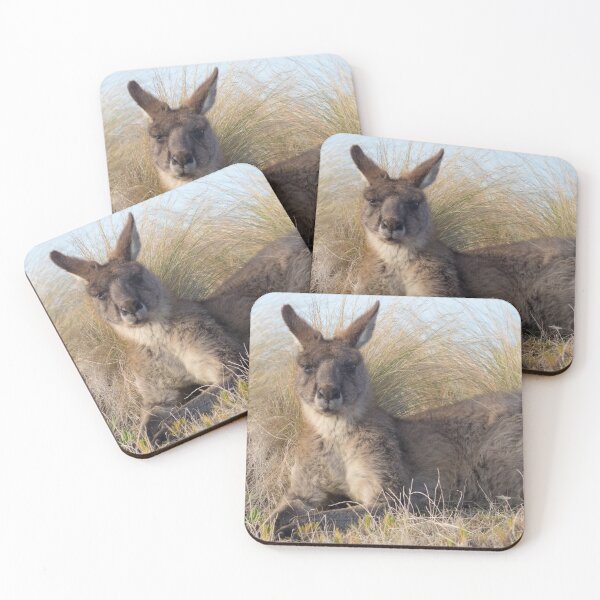 Item preview, Eastern Grey Kangaroo (Macropus giganteus) designed and sold by Trent Townsend.