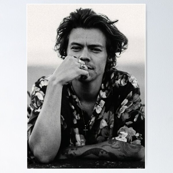 Bel homme Poster