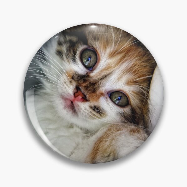 Item preview, LITTLE KITTEN designed and sold by PlasmaStores.