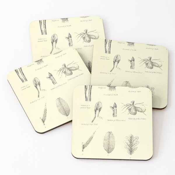 Item preview, Botany Vintage Plant Illustration designed and sold by alalaura.