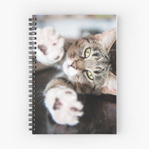 Item preview, Shirow the Cat - stretch designed and sold by chantallevesque.