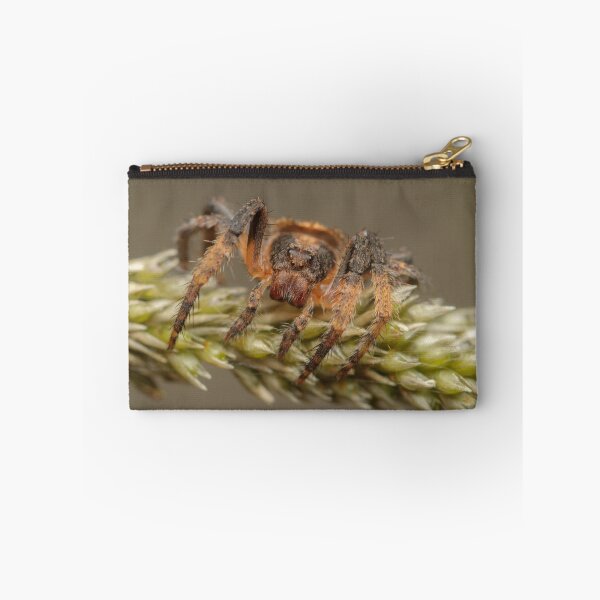 Item preview, Wraparound spider - Dolophones sp. designed and sold by Andrew Trevor-Jones.