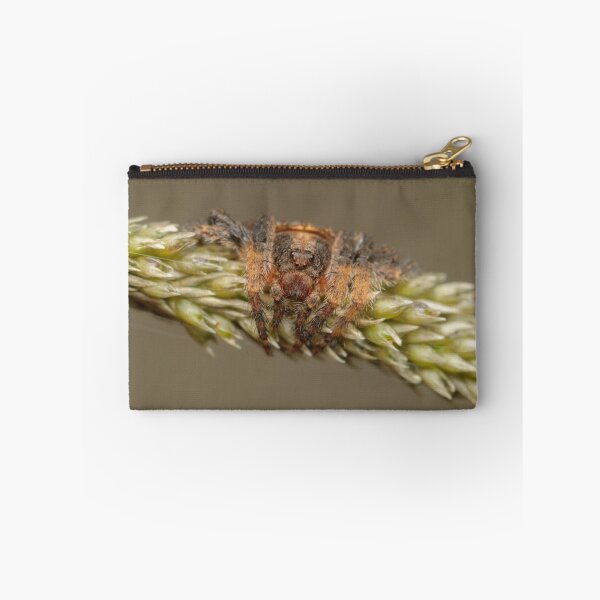 Item preview, Wraparound spider - Dolophones sp. designed and sold by Andrew Trevor-Jones.
