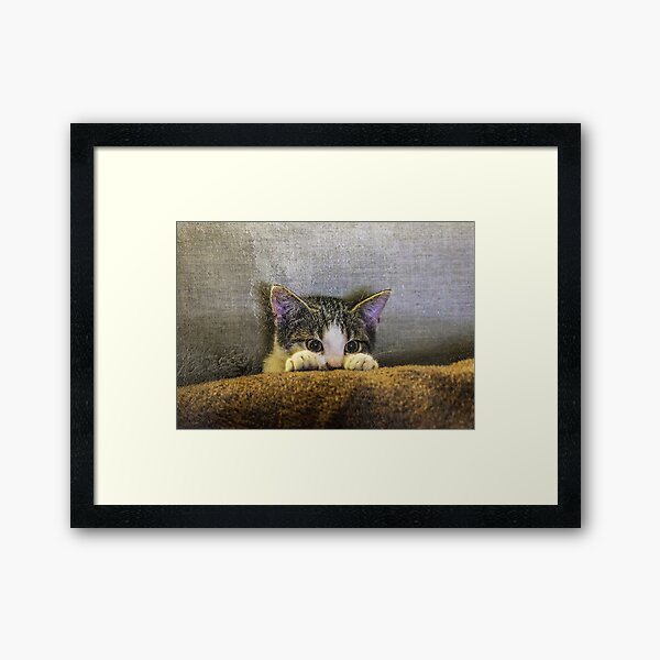 Item preview, Little kitten looks curiously over the arm of the sofa designed and sold by H-W-Design.
