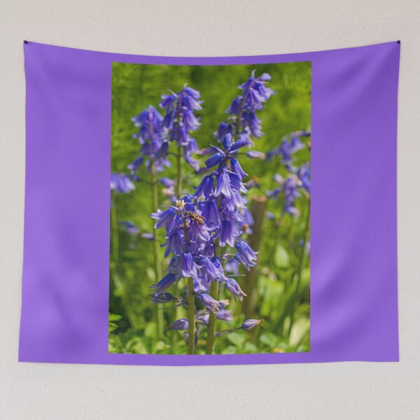 Item preview, Bluebell Flowers designed and sold by jojobob.