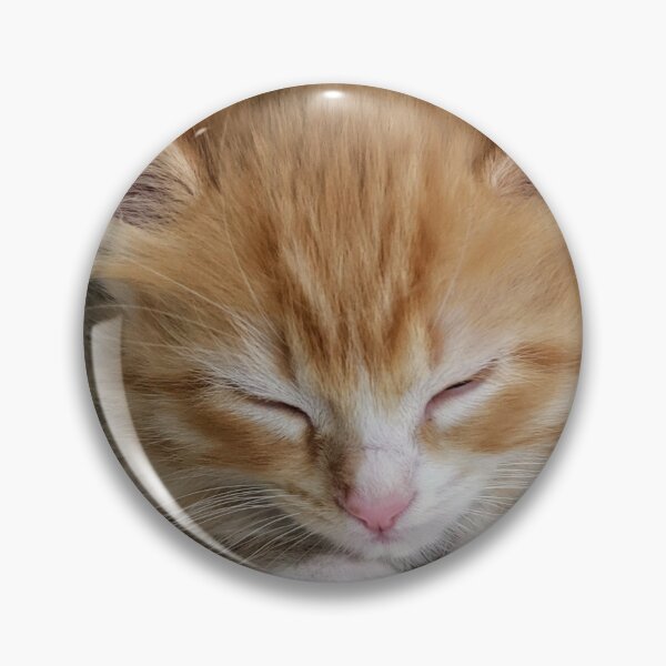 Item preview, Sleepy kitty designed and sold by Fluffycat2020.