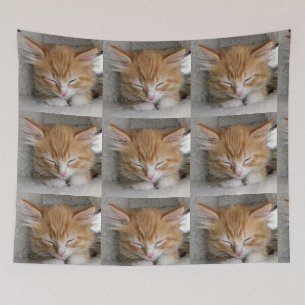 Item preview, Sleepy kitty designed and sold by Fluffycat2020.