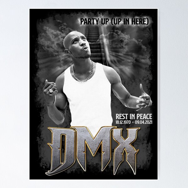 DMX RIP