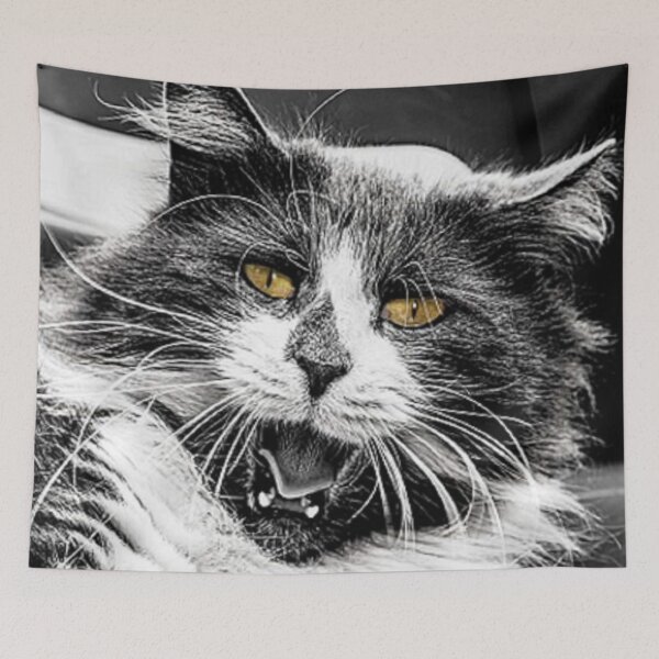 Item preview, crazy cat designed and sold by Teo13.