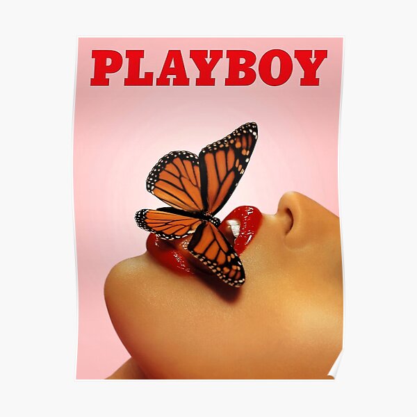 Vintage Schmetterling Poster