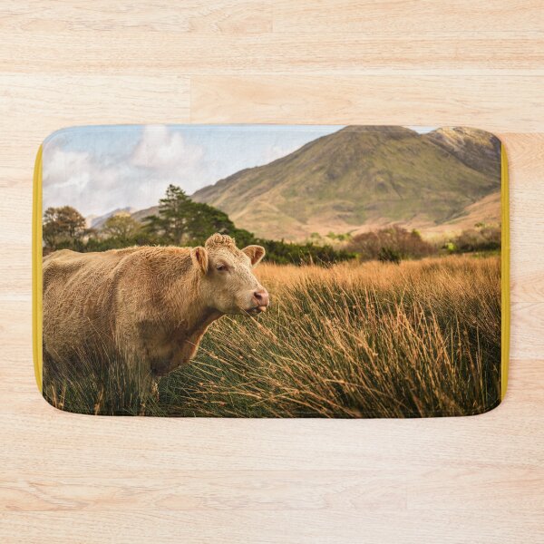Item preview, The funny cow shows her tongue on the field of Connemara National Park, County Galway, Ireland designed and sold by AlbertMi.