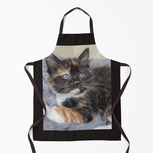 Item preview, Ragdoll Maine coon kitten designed and sold by Fluffycat2020.