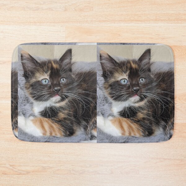 Item preview, Ragdoll Maine coon kitten designed and sold by Fluffycat2020.