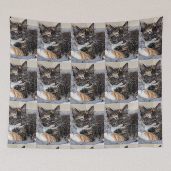 Item preview, Ragdoll Maine coon kitten designed and sold by Fluffycat2020.