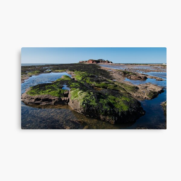Hilbre Island Rockpools, Wirral Canvas Print